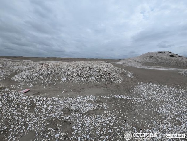 The current image has no alternative text. The file name is: unknown-2.jpeg